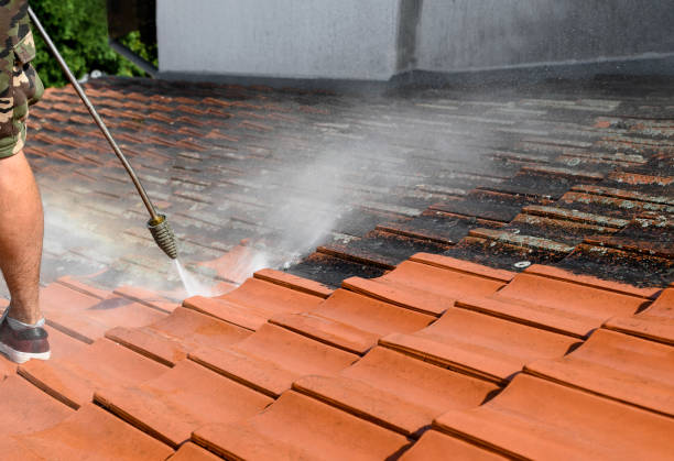 Best House Pressure Washing  in Cherry Brah, NC