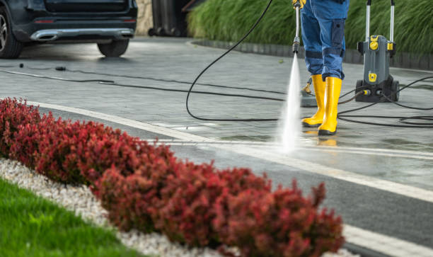 Best Exterior Home Cleaning  in Cherry Brah, NC